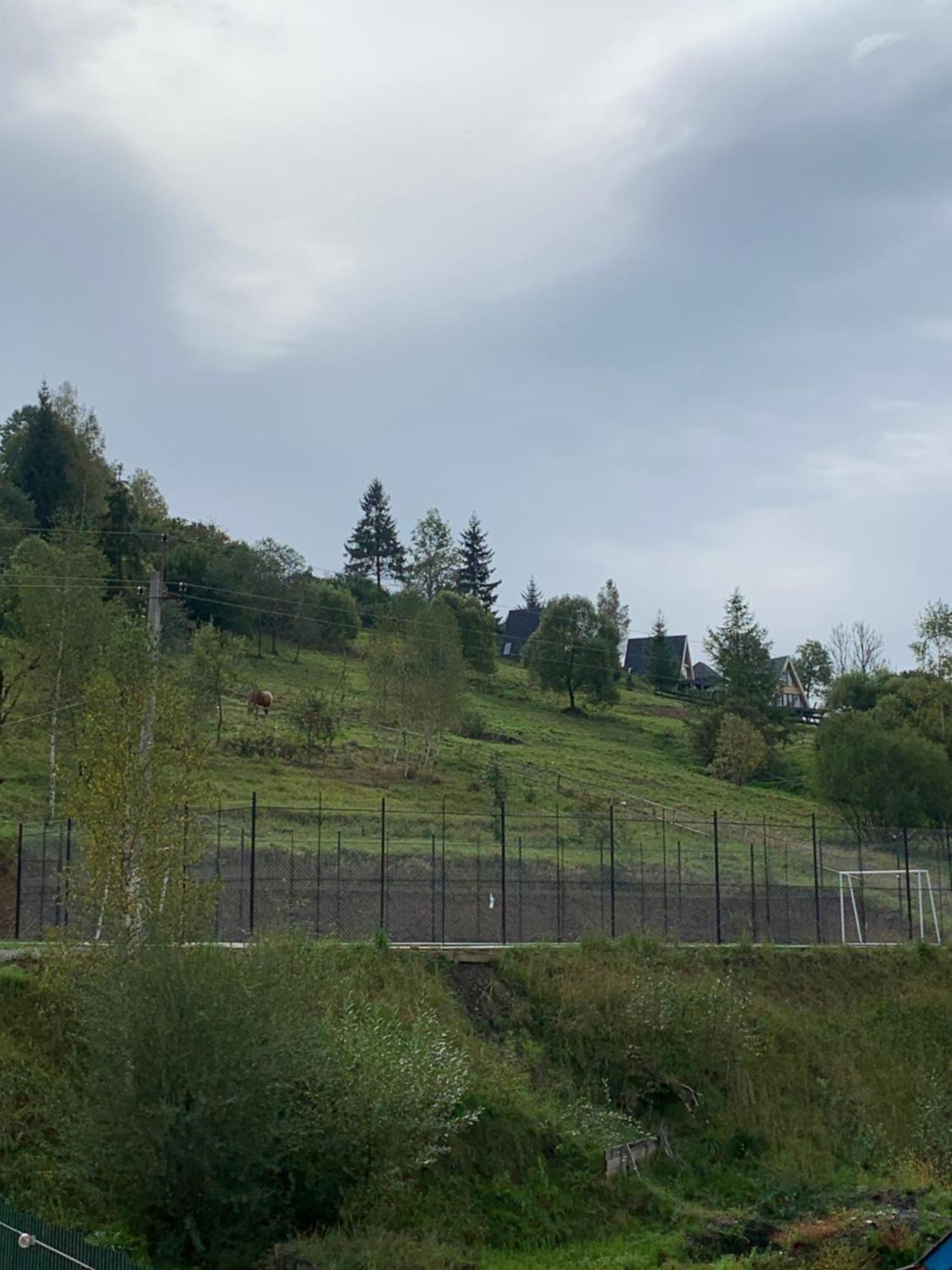 Villa Аура Карпат Slavske Exterior foto