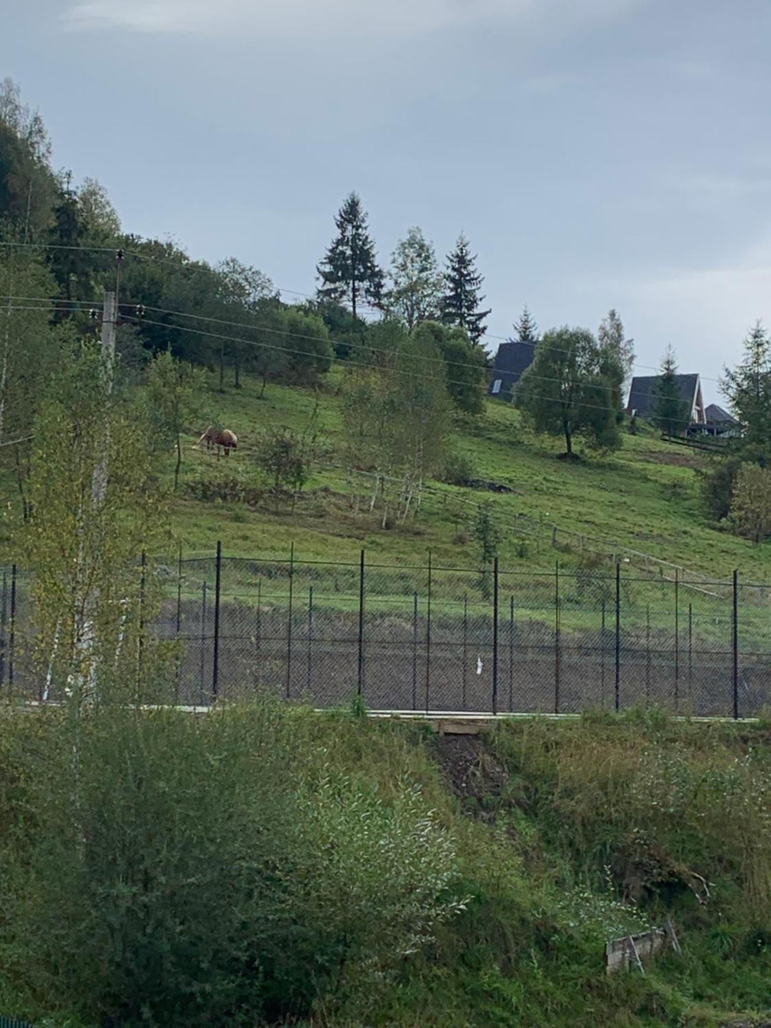 Villa Аура Карпат Slavske Exterior foto